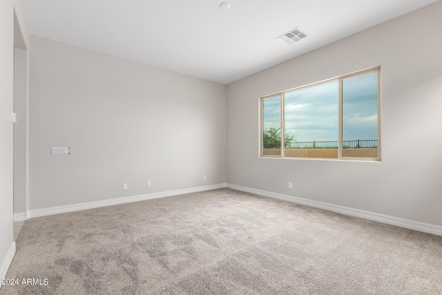 walk in closet with carpet floors