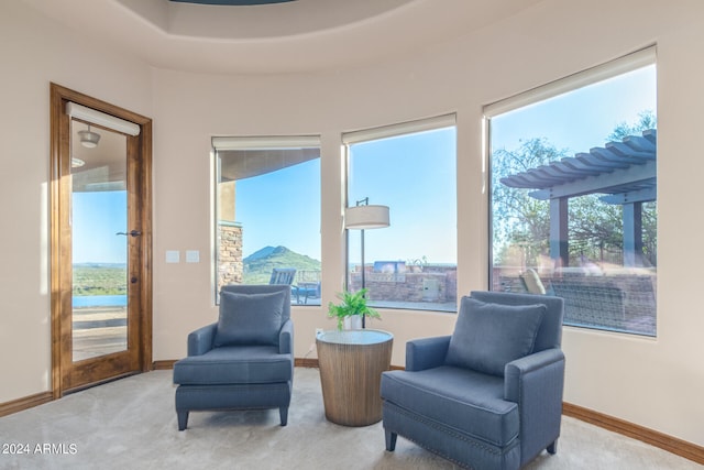 living area with a raised ceiling and light colored carpet