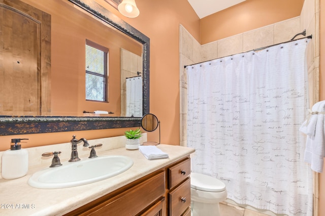 bathroom with toilet and large vanity