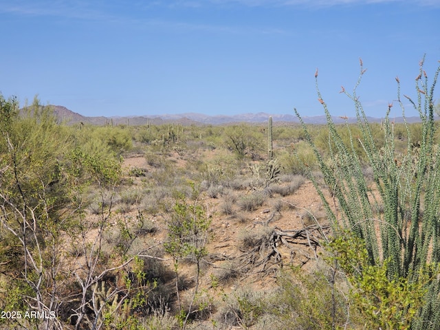 4224x N 264th Avenue -, Morristown, AZ 85342