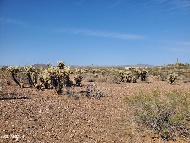 4224x N 264th Avenue -, Morristown, AZ 85342
