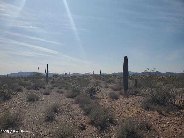 4224x N 264th Avenue -, Morristown, AZ 85342