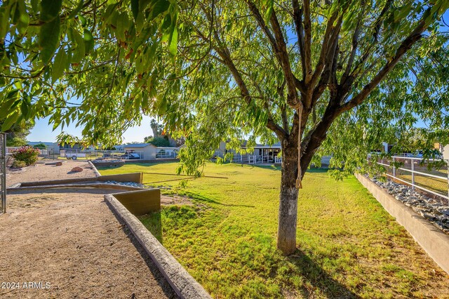 5701 N 105th Ln, Glendale, AZ 85307 - view of yard