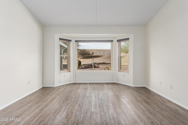 spare room with wood-type flooring