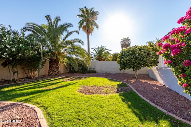 2977 E County Down Dr, Chandler, AZ 85249 - view of yard featuring a fenced backyard