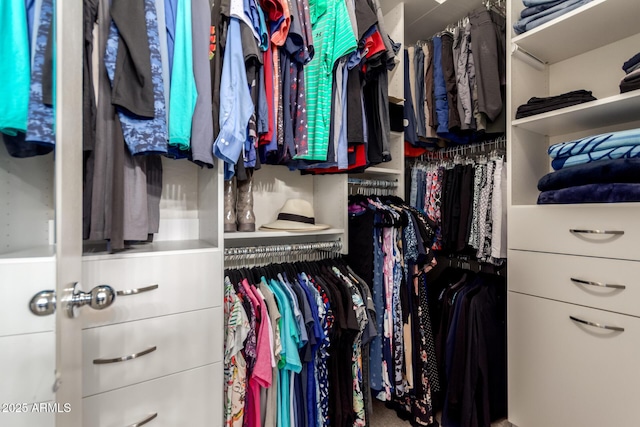 view of spacious closet