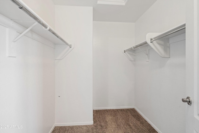 spacious closet featuring dark colored carpet