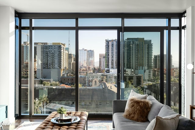 interior space with hardwood / wood-style floors and a wealth of natural light