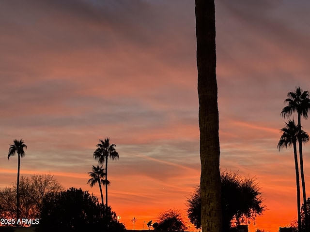 view of nature at dusk