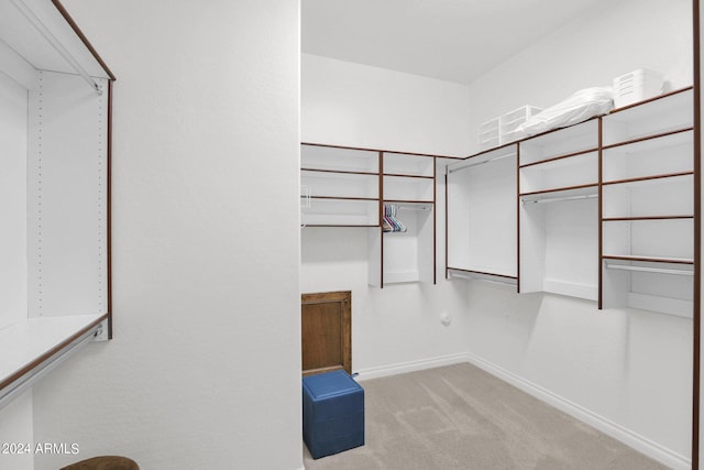 walk in closet with light colored carpet