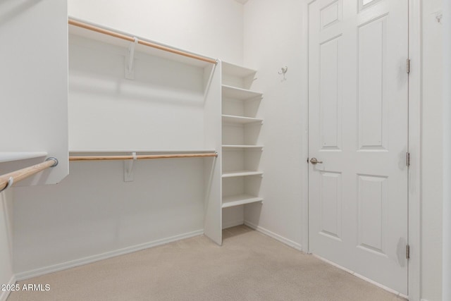 walk in closet with carpet