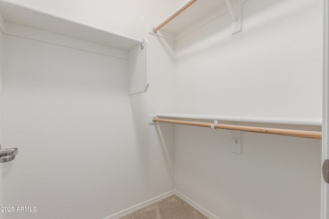 walk in closet with light carpet