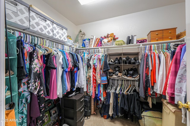 walk in closet featuring carpet flooring