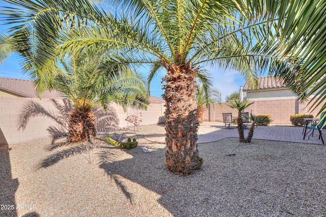 view of yard with a patio area