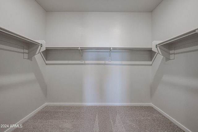 spacious closet with carpet flooring