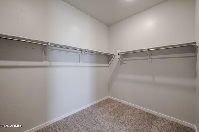 spacious closet with carpet