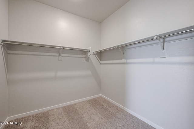 walk in closet with carpet flooring