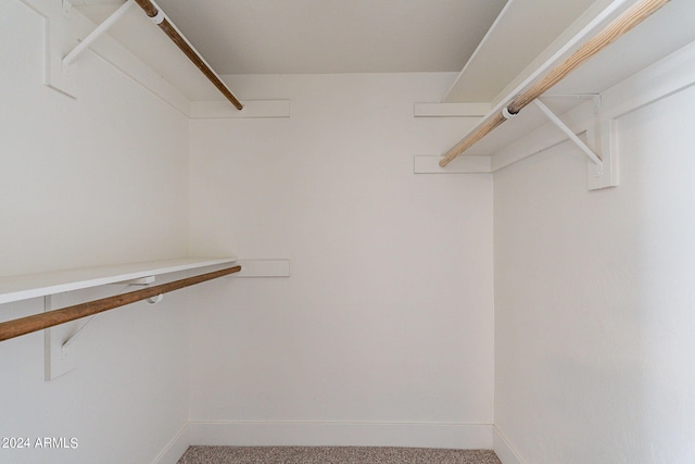 walk in closet with carpet flooring