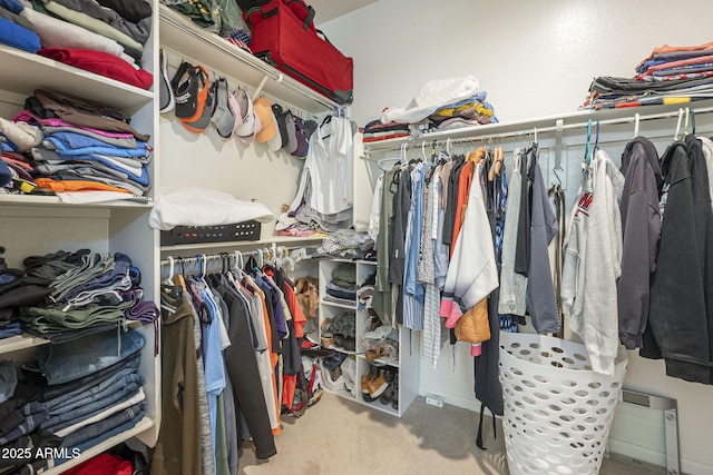 walk in closet featuring carpet