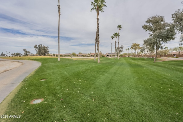 view of home's community featuring a yard