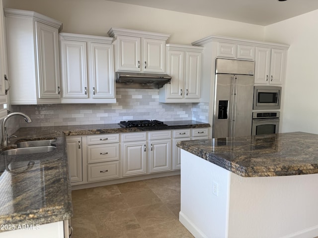 22903 N 39th Ter, Phoenix, AZ 85050 - kitchen featuring appliances with stainless steel finishes, under cabinet range hood, and white cabinets