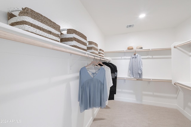 walk in closet with light carpet