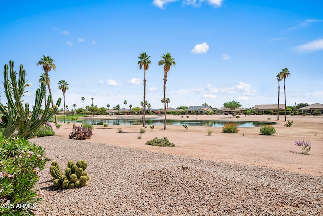 2163 N 164th Dr, Goodyear, AZ 85395 - water view