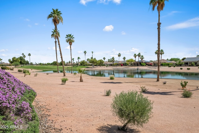 2163 N 164th Dr, Goodyear, AZ 85395 - water view