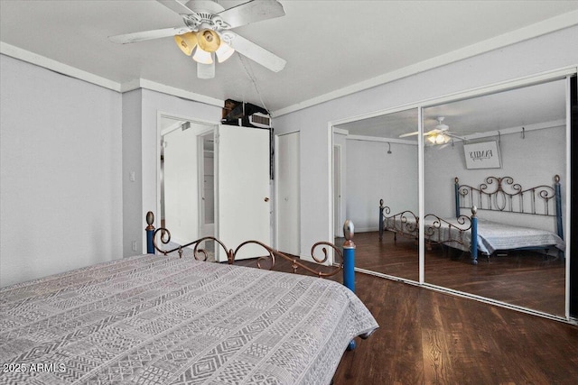bedroom featuring wood finished floors, a ceiling fan, two closets, and ornamental molding