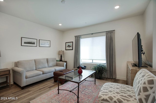 living room featuring wood-type flooring