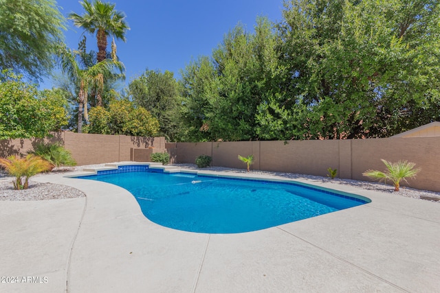 view of swimming pool with a patio area, a fenced backyard, and a fenced in pool