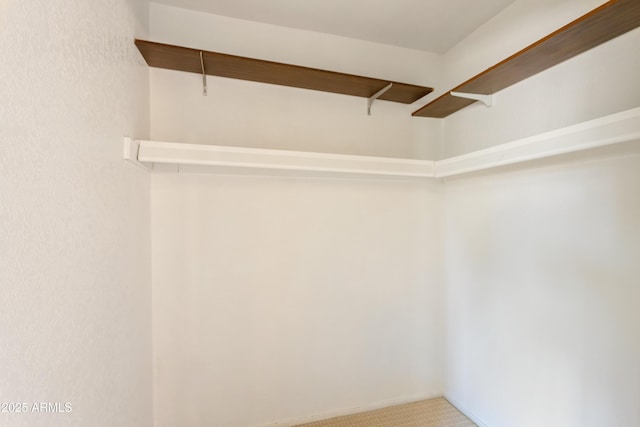 2232 Carmelita Dr, Sierra Vista, AZ 85635 - walk in closet featuring light carpet