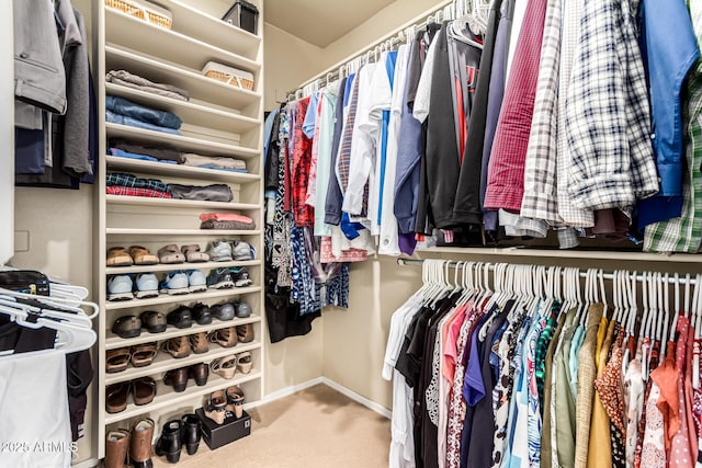 5840 E Holmes Ave, Mesa, AZ 85206 - walk in closet with carpet floors