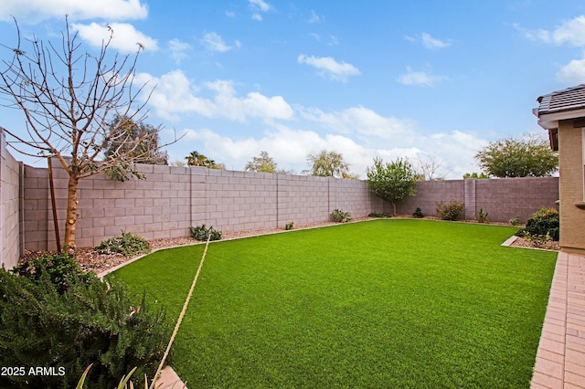 view of yard featuring a fenced backyard