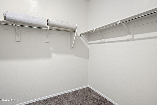 1343 W Hess Ave, Coolidge, AZ 85128 - spacious closet with carpet