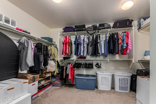 walk in closet with light colored carpet