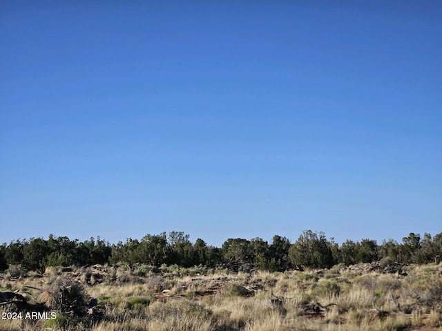 Listing photo 3 for 8290 El Rancho Trl Unit C, Snowflake AZ 85937