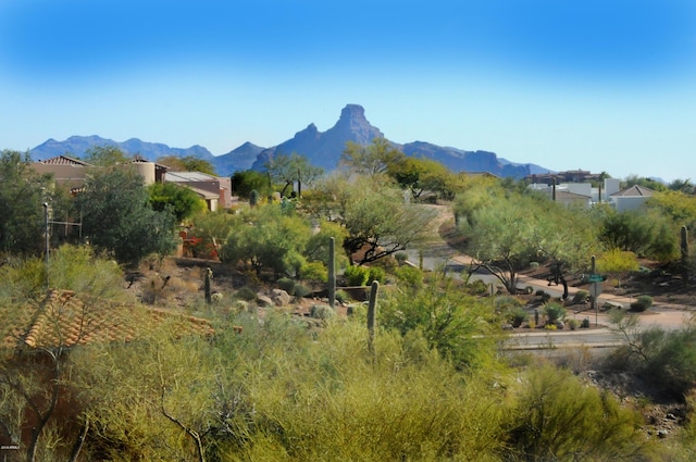 11664 N Sunset Vista Dr Unit 45, Fountain Hills AZ, 85268 land for sale