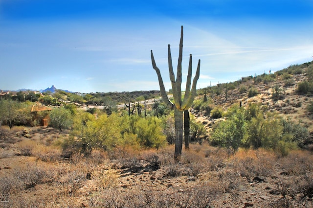 Listing photo 3 for 11664 N Sunset Vista Dr Unit 45, Fountain Hills AZ 85268