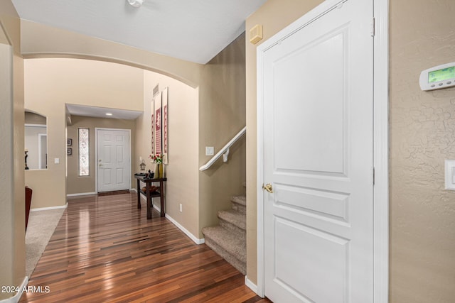 foyer entrance featuring dark wood-type flooring