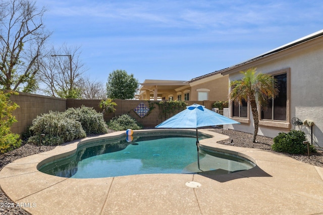 view of swimming pool with a fenced in pool, a patio area, and a fenced backyard