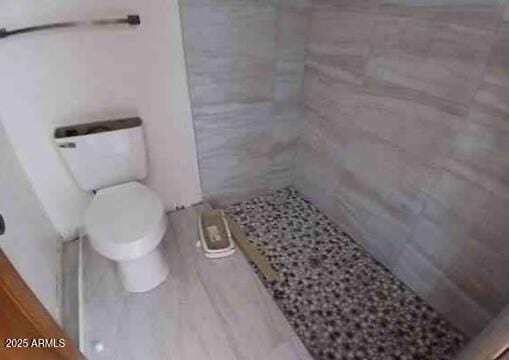 bathroom with toilet and a stall shower