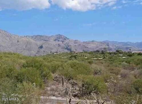view of mountain feature