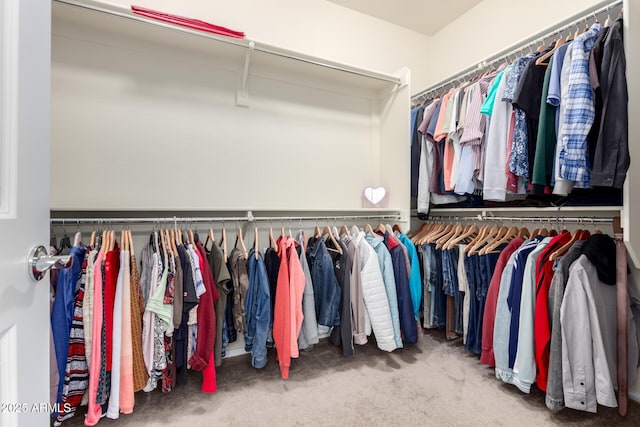 spacious closet featuring carpet