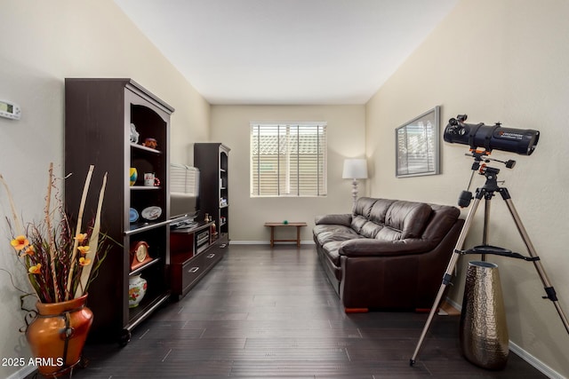 living area with dark hardwood / wood-style floors