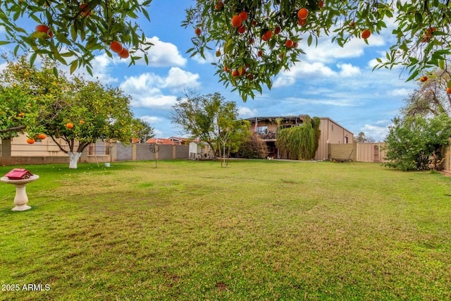 view of yard featuring a fenced backyard