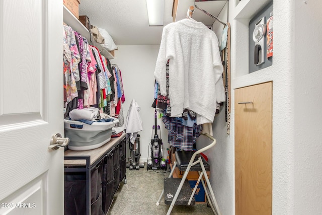 spacious closet featuring carpet