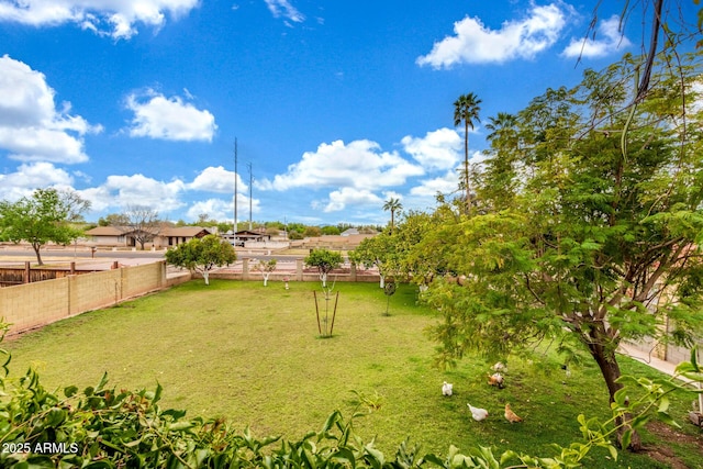 view of yard with a fenced backyard