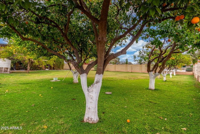 view of yard featuring fence