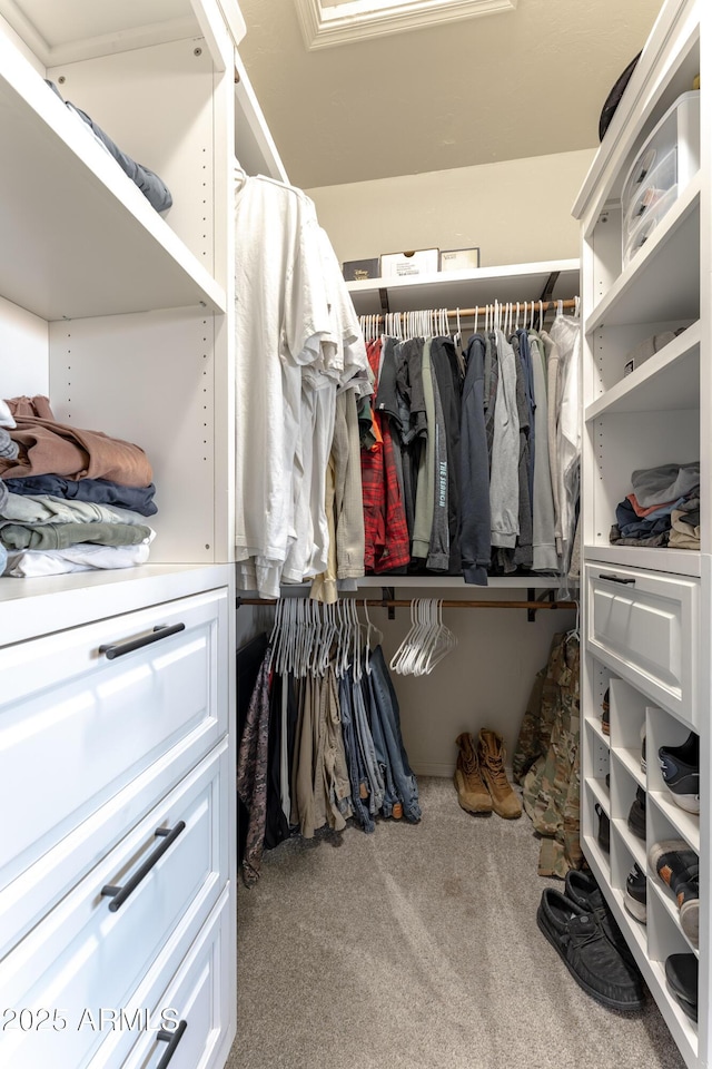 walk in closet featuring carpet